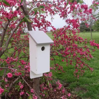 Little Bird Lodge — Assembled Small Durable Poly Lumber Birdhouse with Sloped Roof