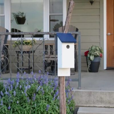 Little Bird Lodge — DIY Small Birdhouse Kit with Durable PVC and Magnetic Roof